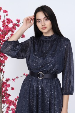 Silvery Navy Blue Dress