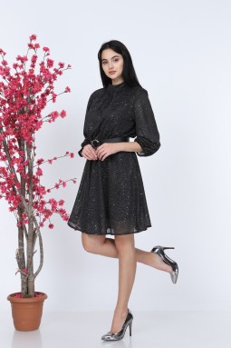 Silvery Black Dress